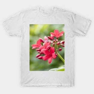 Phu Quoc Flora T-Shirt